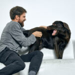 How to Handle Aggressive Pet Behavior