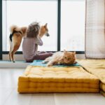 Creating Safe Space for Pets Indoors