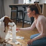 Common Behavior Problems in Dogs Explained